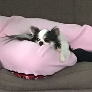 Meet your Posher, Susan